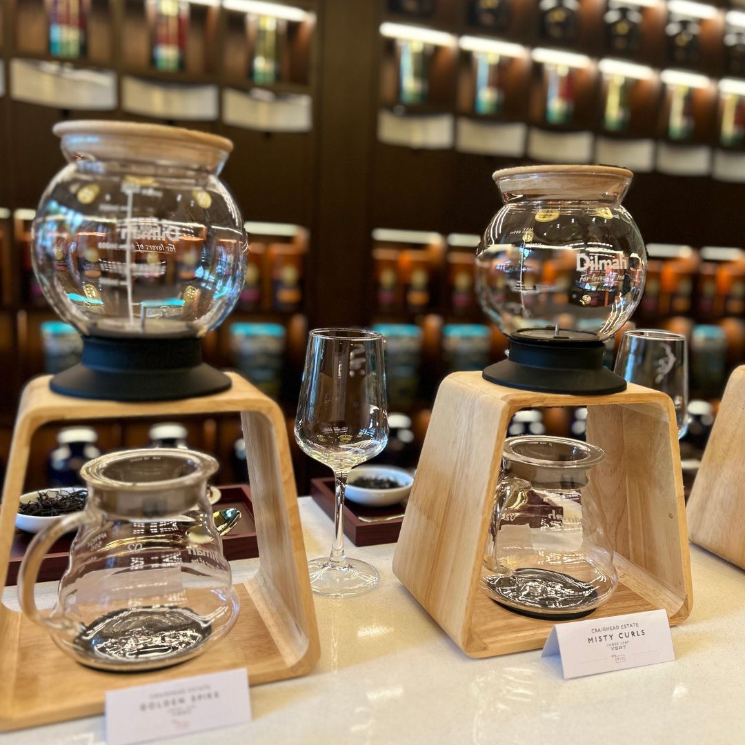 Tea Time Rocks Dilmah Unveils their Very Special Rare Tea Collection at the t-Lounge ...